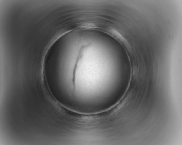 X0000089751378200707051807