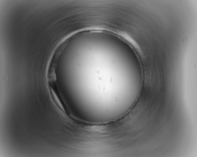 X0000089751380200707051807