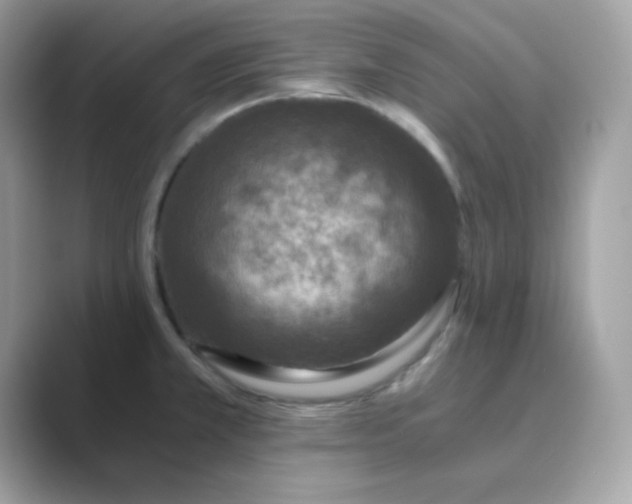 X0000089751381200707051807