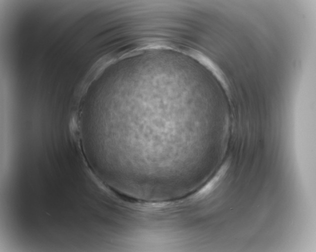 X0000089751385200707051807