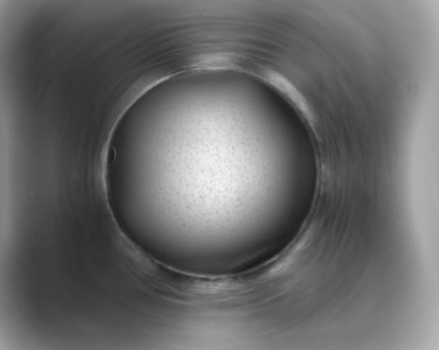 X0000089751386200707051807