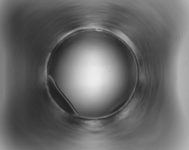 X0000089751388200707051807