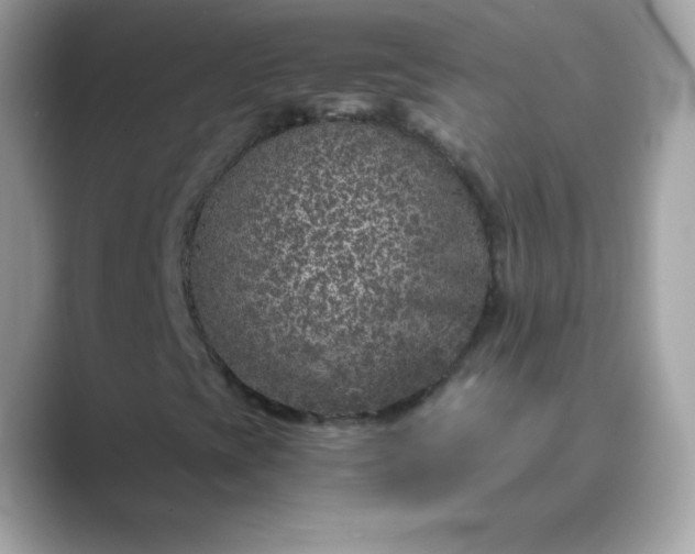 X0000089751393200707051807