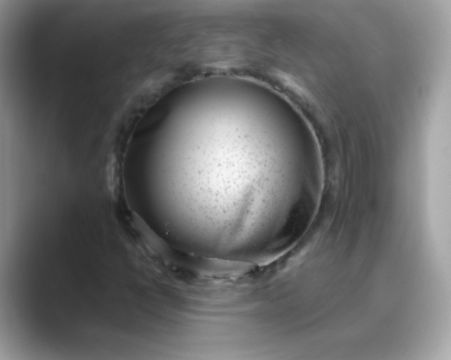 X0000089751398200707051807