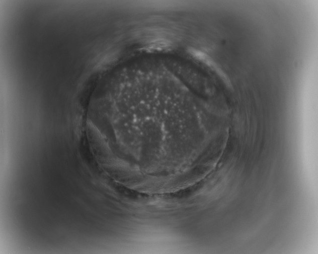 X0000089751399200707051807