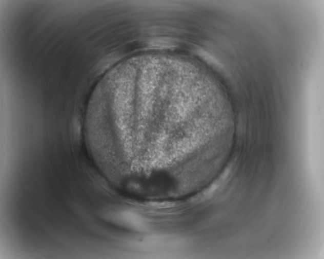 X0000089751401200707051807