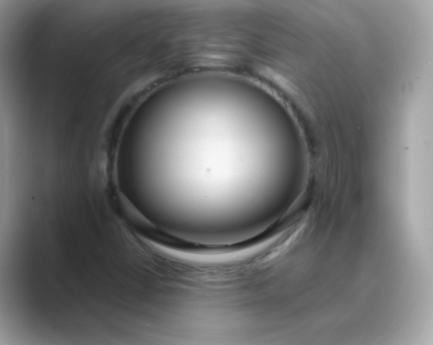 X0000089751402200707051807