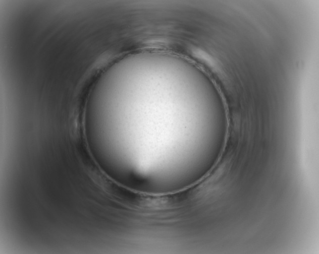 X0000089751403200707051807