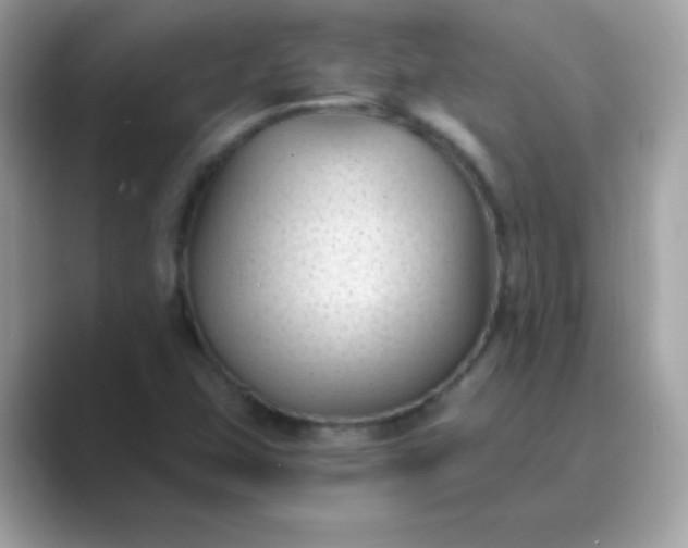 X0000089751407200707051807