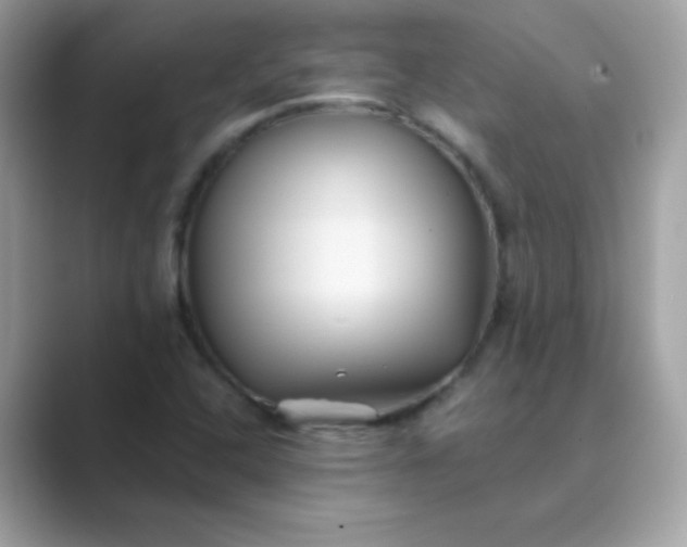 X0000089751408200707051807