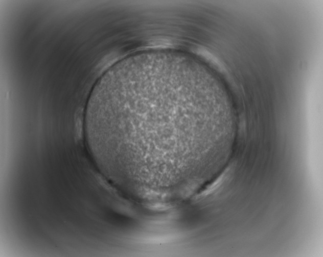 X0000089751409200707051807