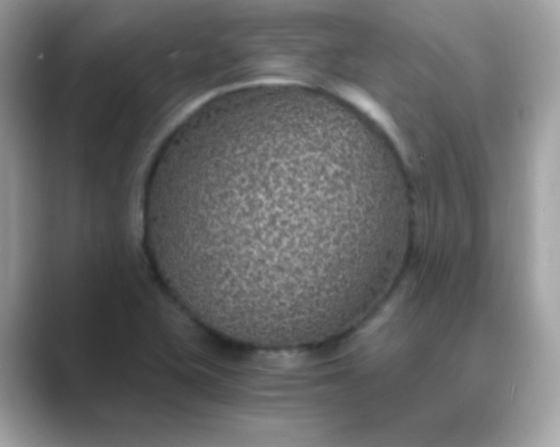 X0000089751415200707051807