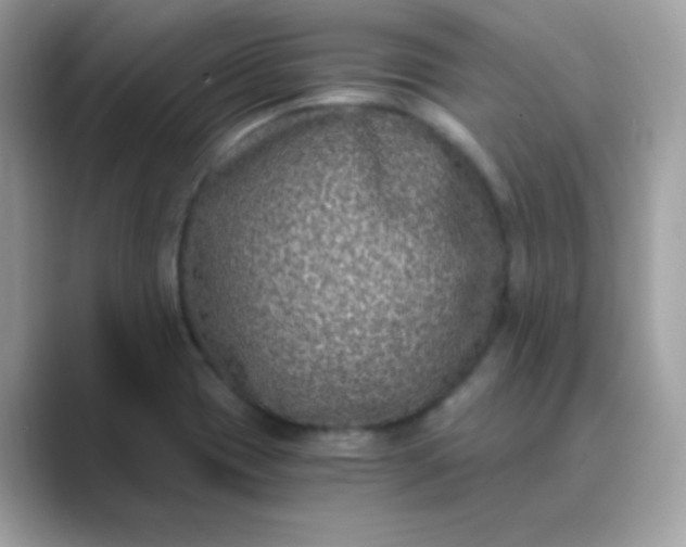 X0000089751417200707051807