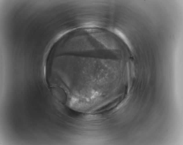 X0000089751419200707051807