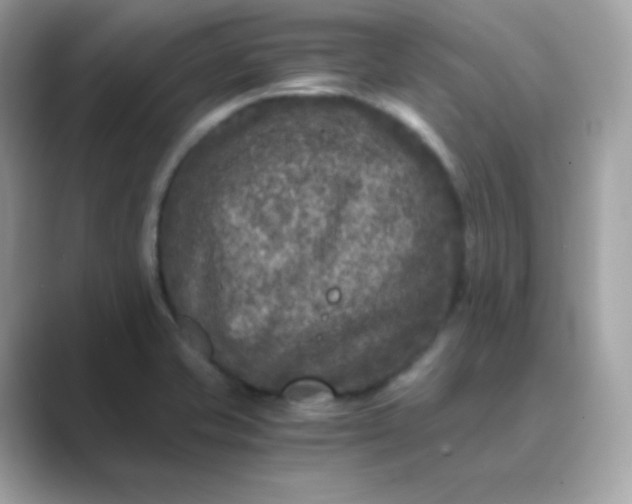 X0000089751421200707051807