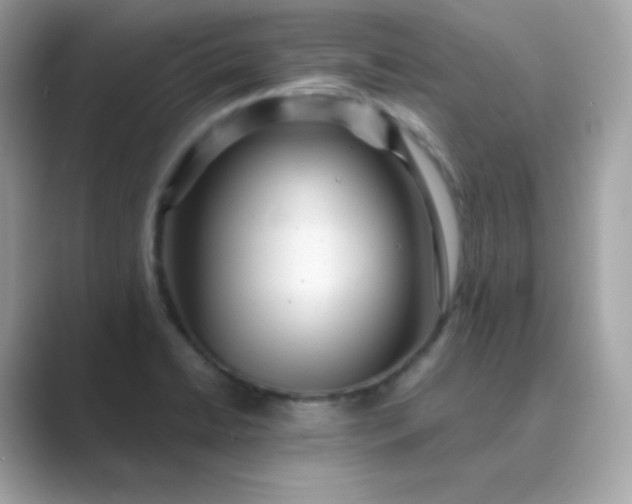 X0000089751422200707051807