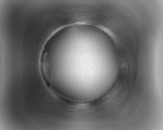 X0000089751423200707051807