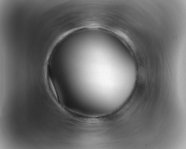 X0000089751424200707051807