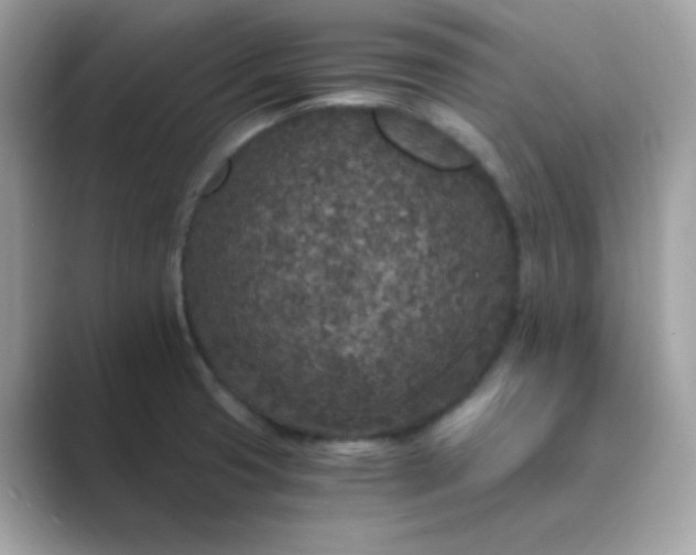 X0000089751425200707051807