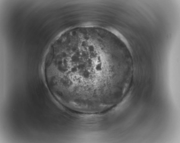 X0000089751429200707051807