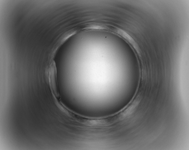 X0000089751433200707051807