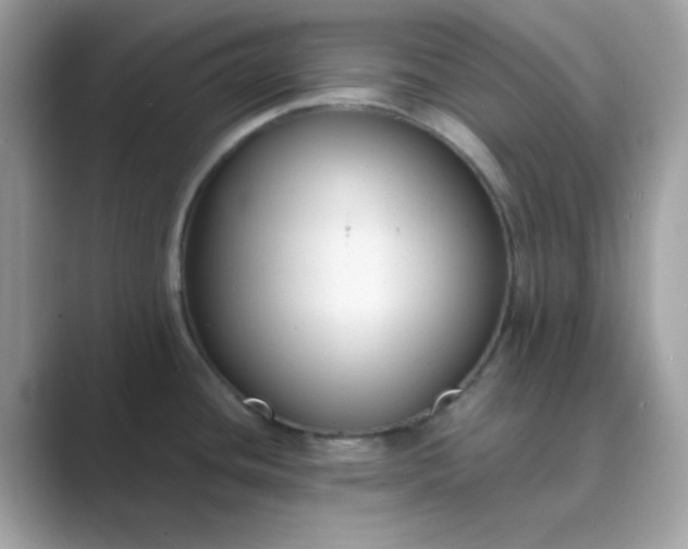 X0000089751436200707051807