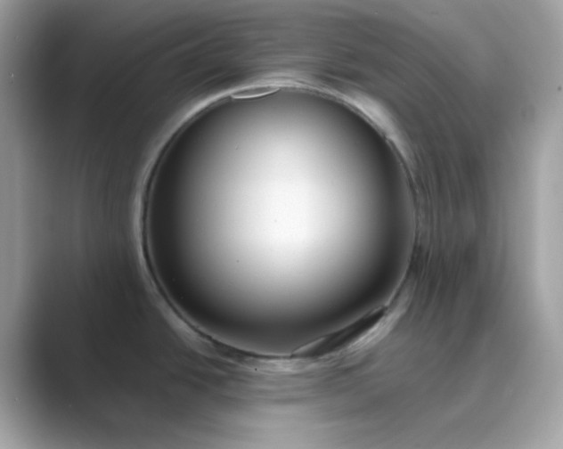 X0000089751438200707051807