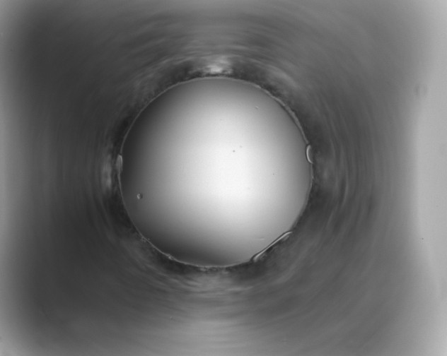 X0000089751442200707051807