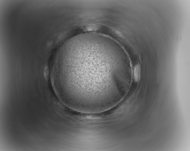 X0000089751443200707051807