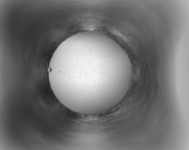 X0000089751446200707051806