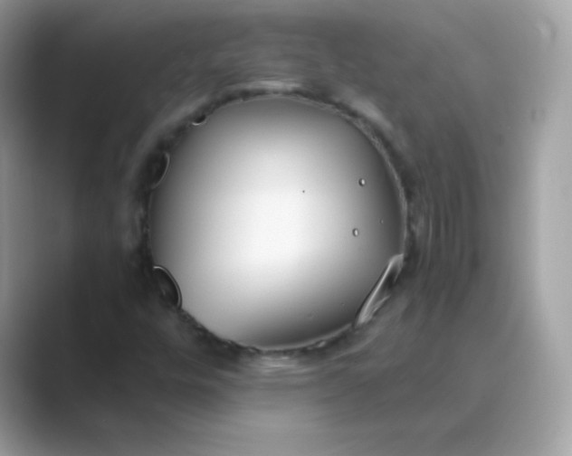 X0000089751448200707051806