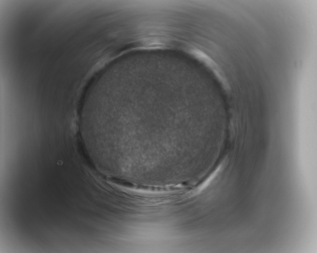 X0000089751449200707051806