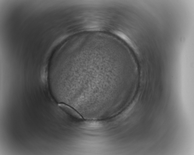 X0000089751450200707051806