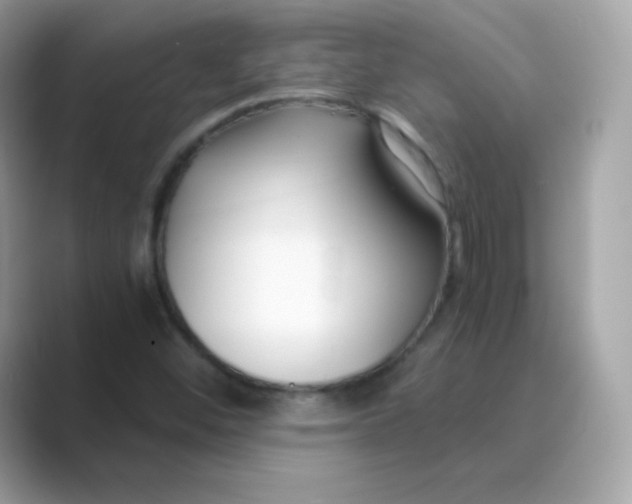 X0000089751452200707051806