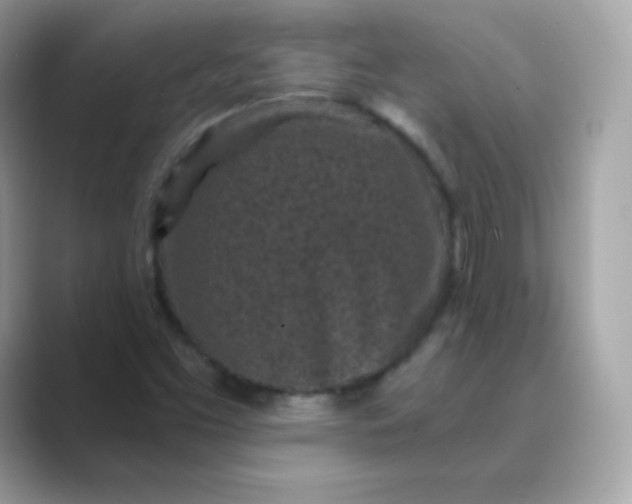 X0000089751453200707051806