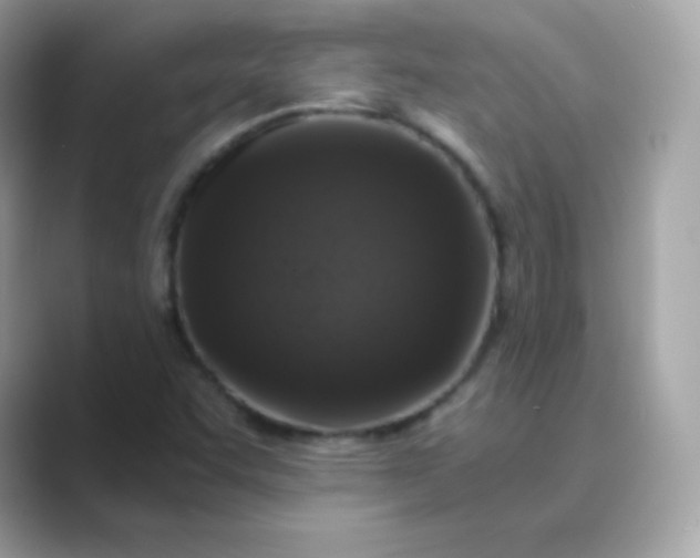 X0000089751455200707051806