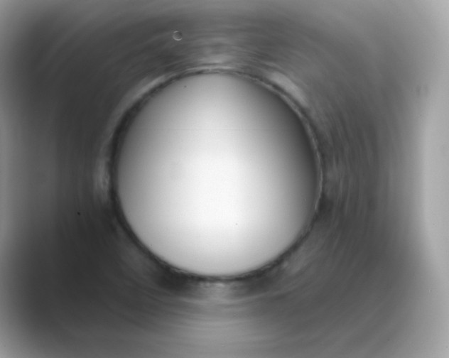 X0000089751458200707051806