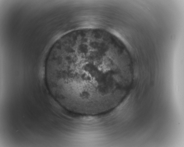 X0000089751459200707051806