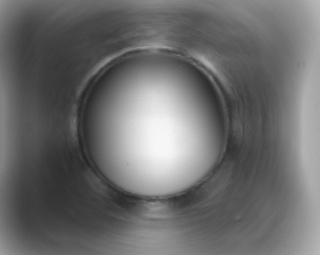 X0000089751460200707051806