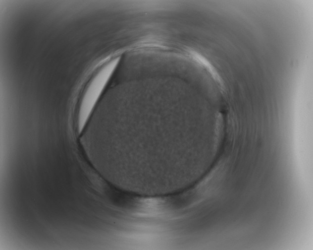 X0000089751461200707051806