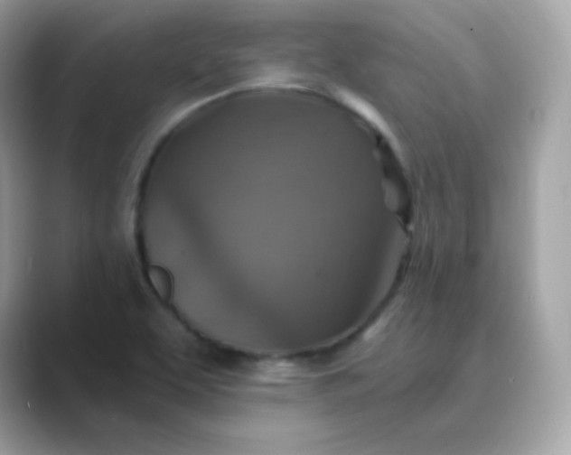 X0000089751463200707051806