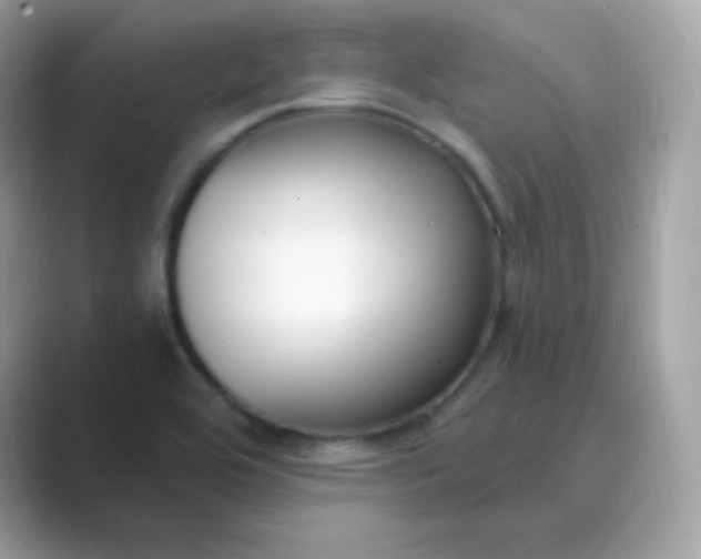 X0000089751464200707051806