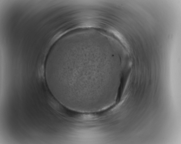 X0000089751465200707051806