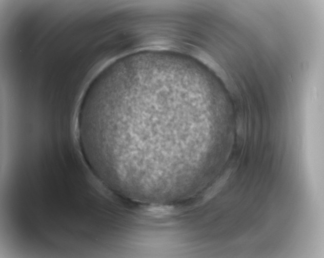 X0000089751466200707051806