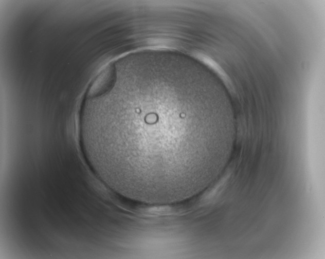 X0000089751467200707051806