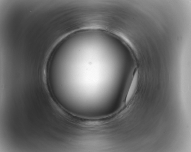 X0000089751468200707051806