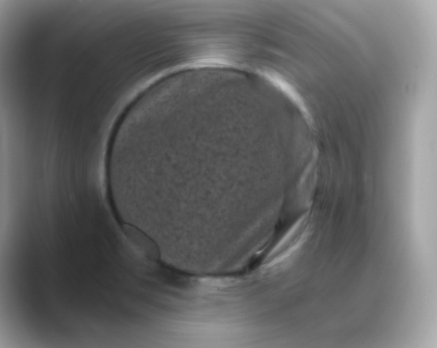 X0000089751469200707051806