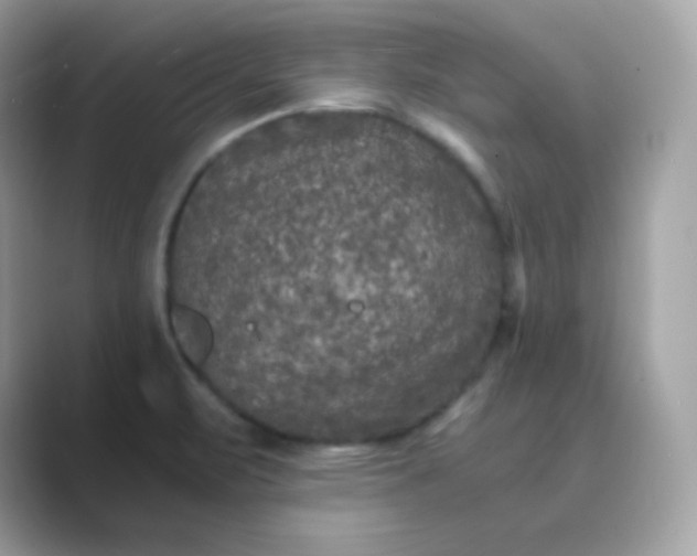 X0000089751471200707051806