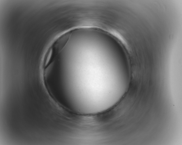 X0000089751472200707051806