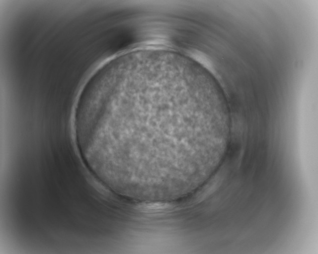 X0000089751474200707051806